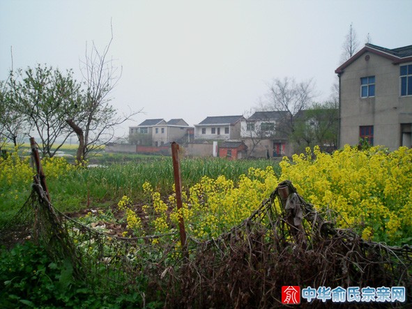 zhangguiying7.jpg